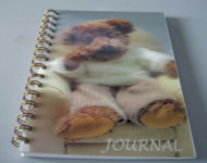 journal